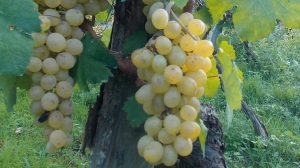 Aprendizaje acumulado.