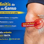 Tendinitis de pata de ganso: el médico cura, la ecografía orienta